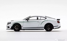 Bentley Continental GT3-R -white 