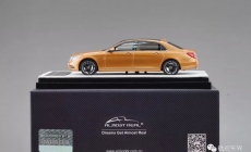 Mercedes-Maybach s-class 2016 -GOLD 梅賽德斯邁巴赫 金屬金色